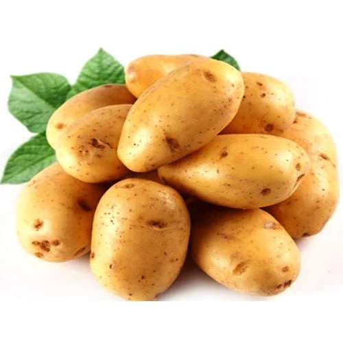 Potato Export