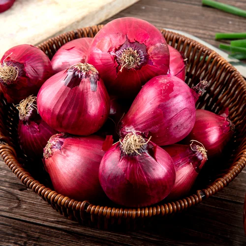 Onion Export